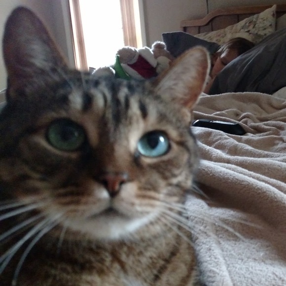 Meet your Posher, Barbara - Picture 1 of 1